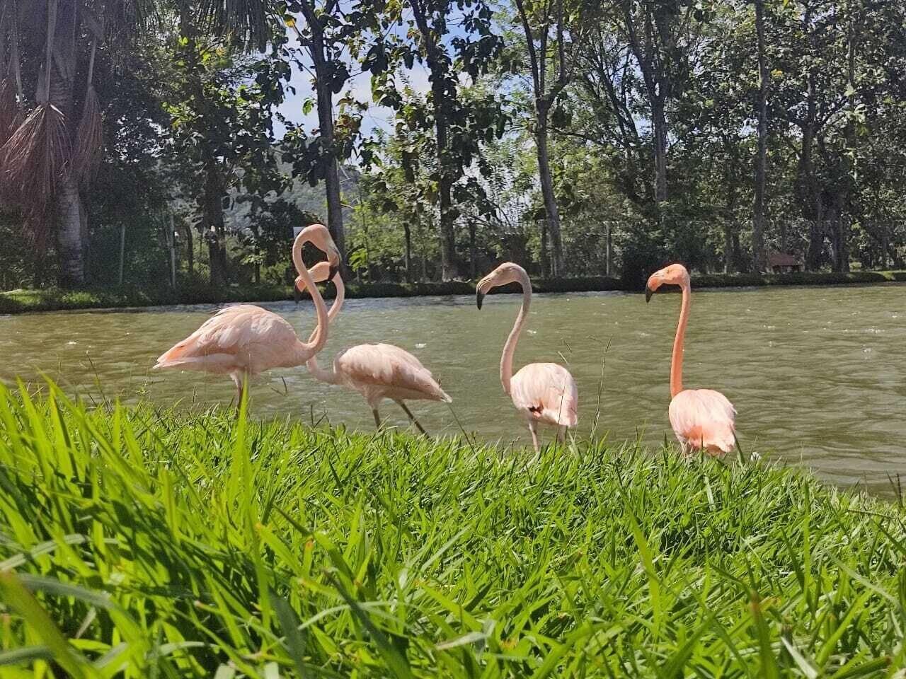 Vista Exterior Hotel Brisas la Gaviota Mariquita-Tolima