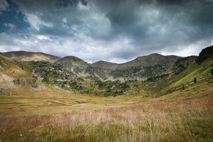 Alojamiento - Hotel Llop Gris