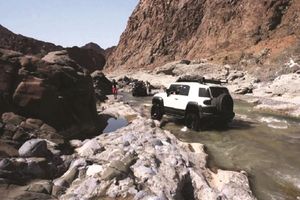 Actividad - Excursión a Wadi Al Abyadh