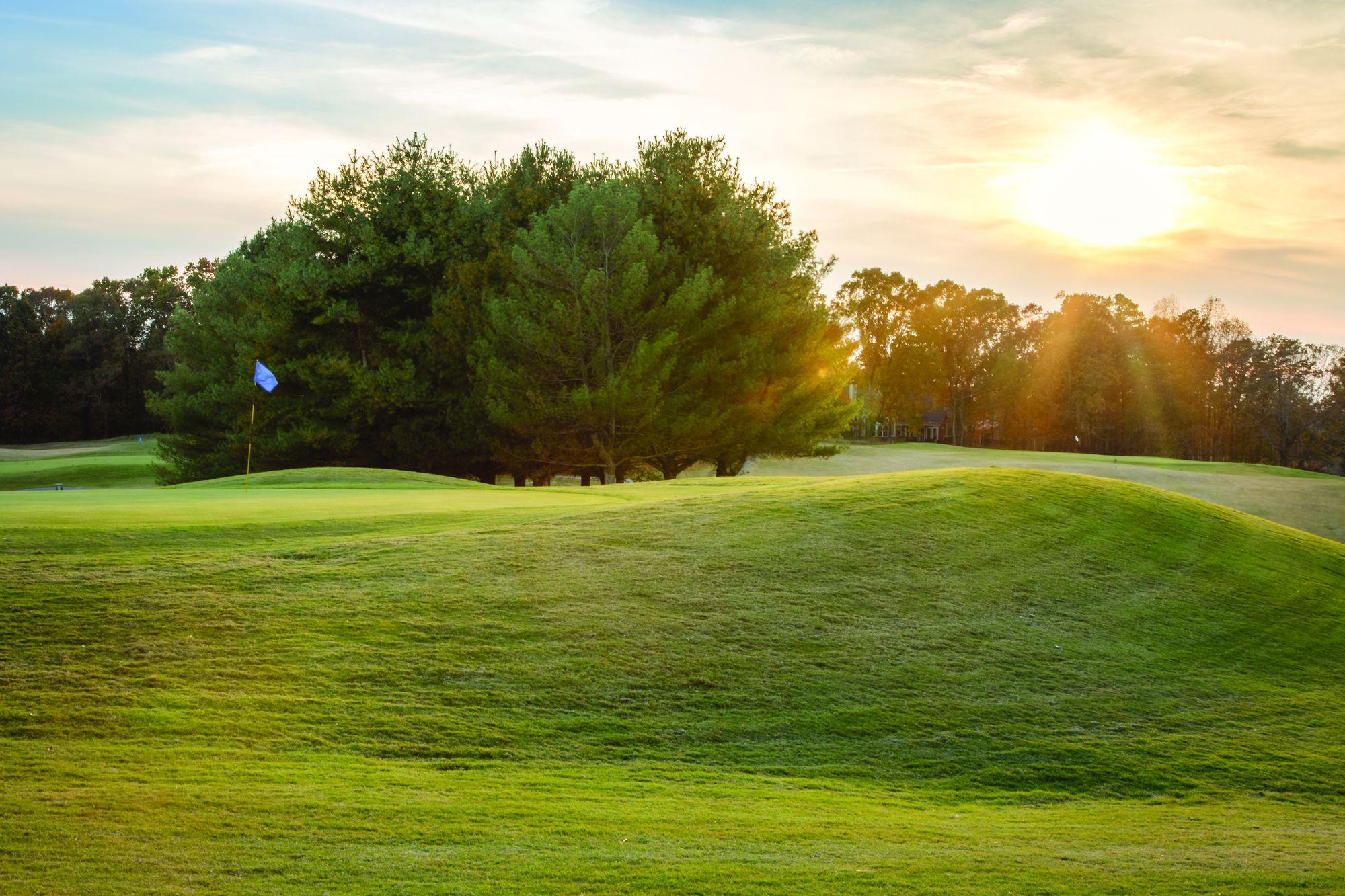 Campo de Golf Holiday Inn Club Vacations Apple Mountain Resort