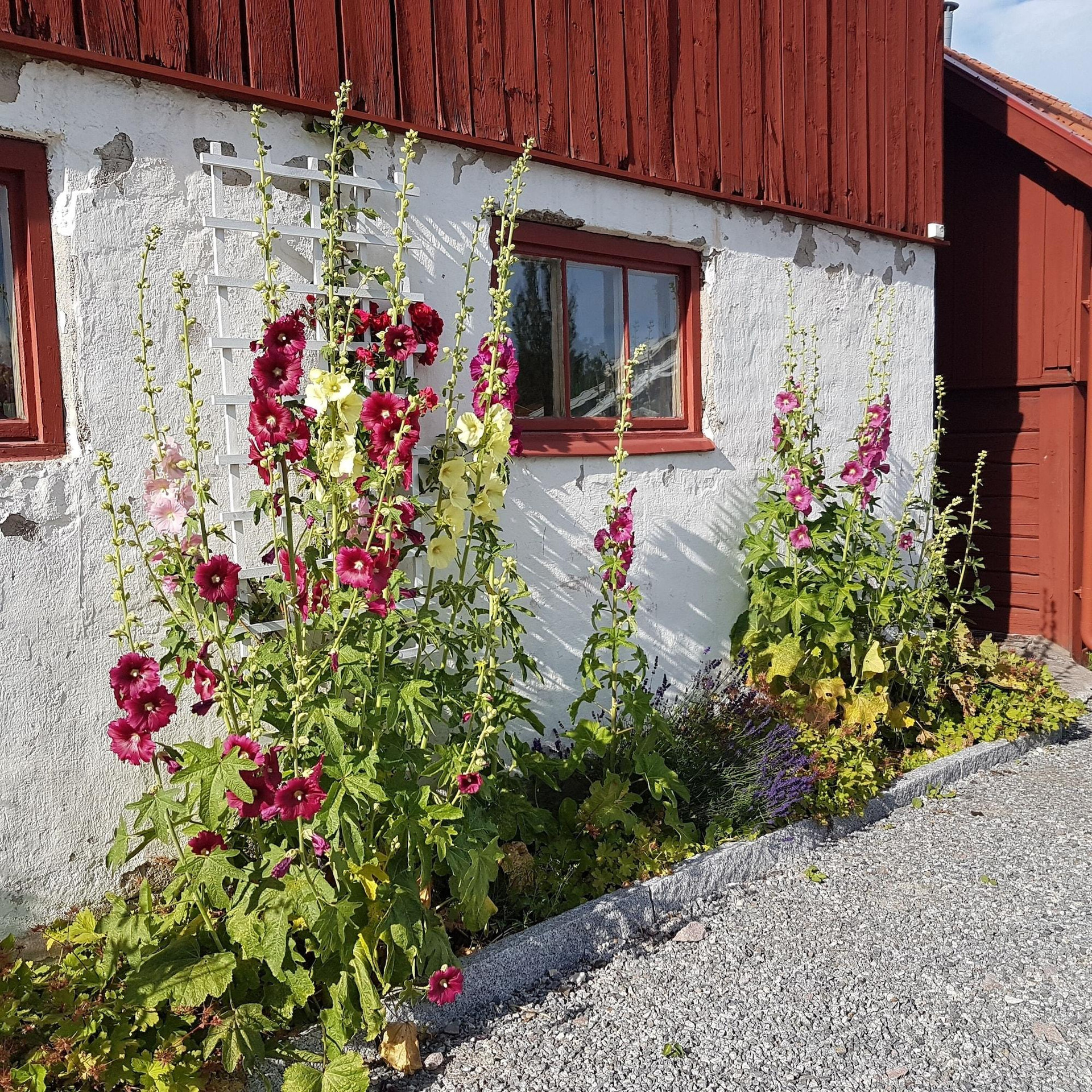 Vista Exterior Hem till Gården