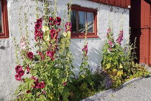 Alojamiento - Hem till Gården