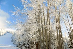 Alojamiento - Country Inn & Suites by Radisson, Flagstaff, AZ