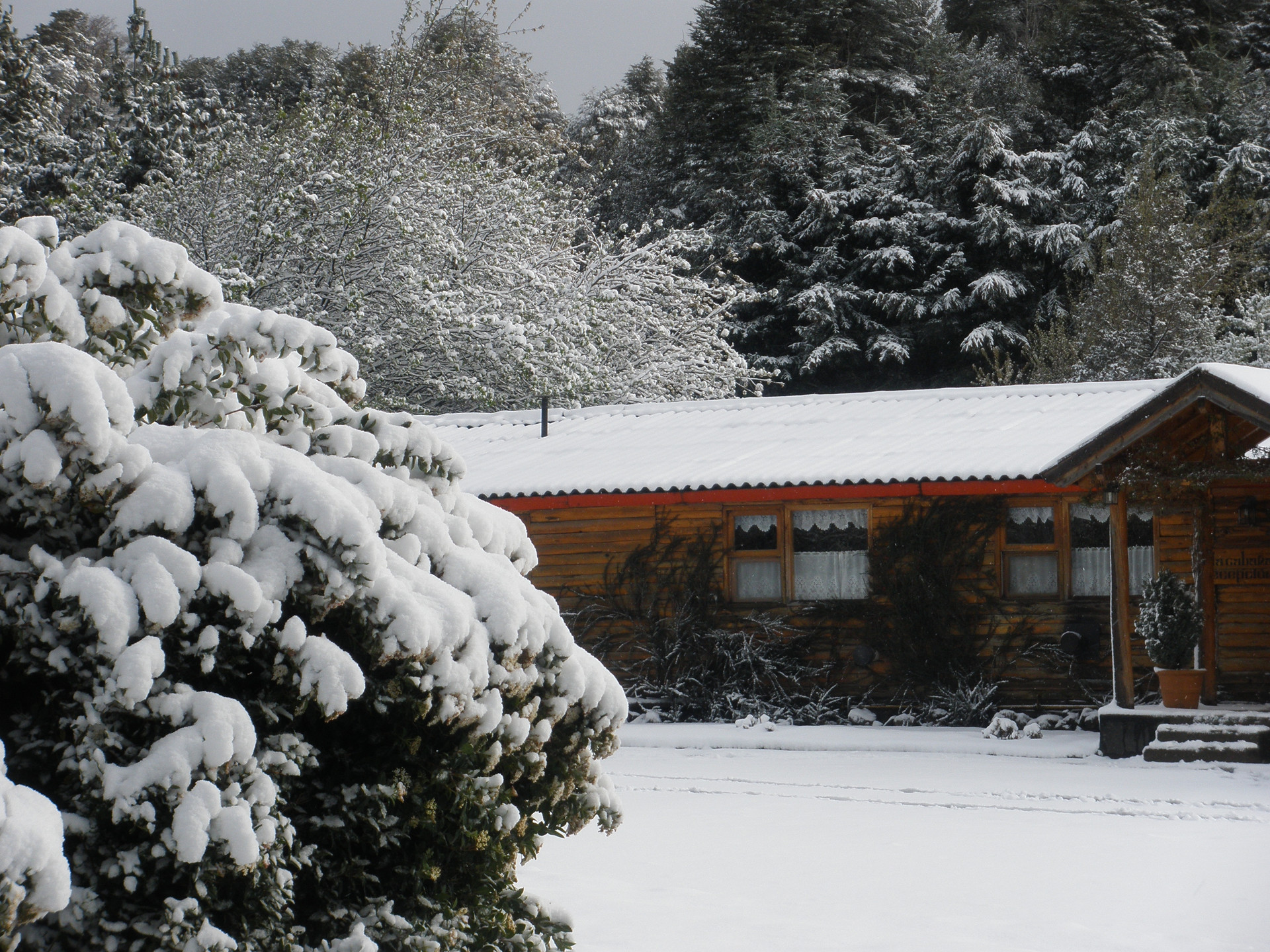 Vista Lobby DUT Bariloche con Maxisol
