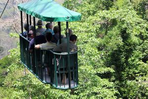 Actividad - Recorrido en teleférico desde Jacó