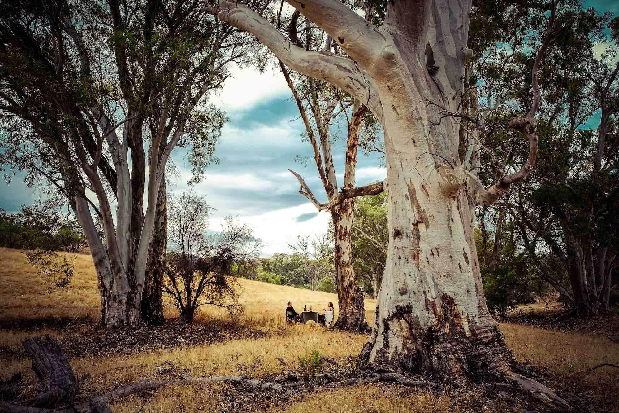 Restaurant Arkaba Homestead