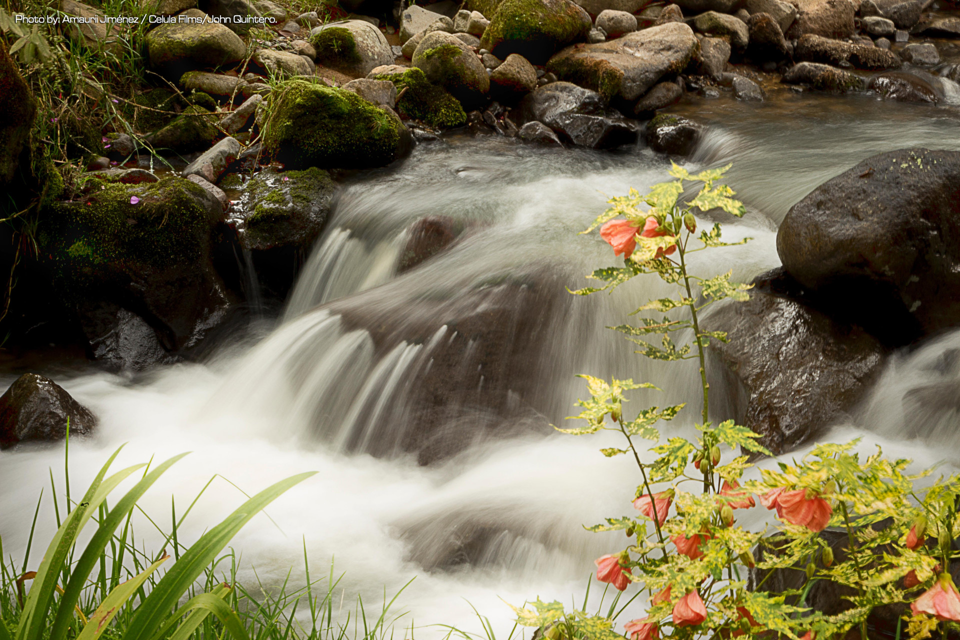 Varios Termales San Vicente Gran Spa