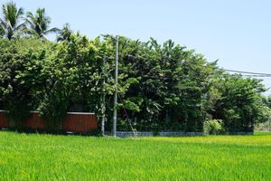 Alojamiento - Hoi An Chic Green Retreat