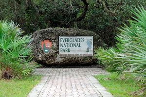 Actividad - Entrada al Parque Everglades Sawgrass - Experiencia única!!    