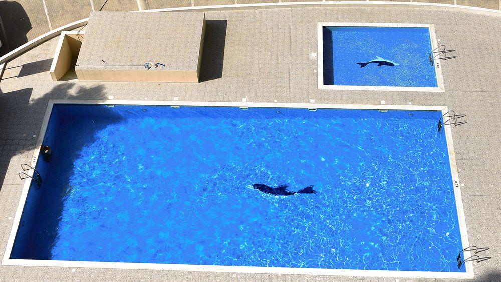 Vista Piscina Ajwan Hotel Apartments