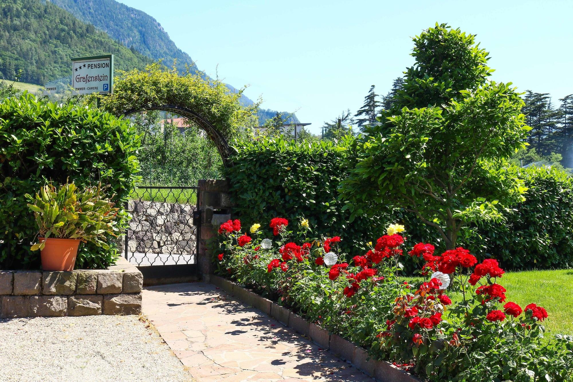 Vista Lobby Guesthouse Pension Grafenstein