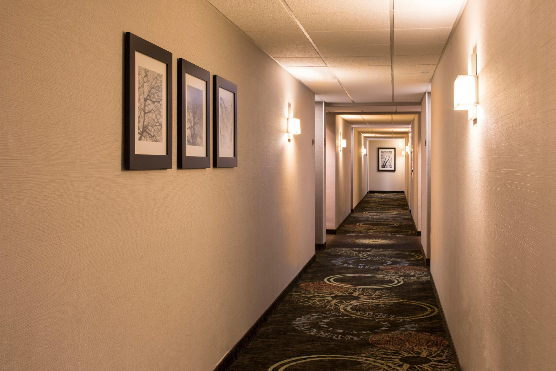 Vista Lobby Staybridge Suites Monterrey - San Pedro by IHG