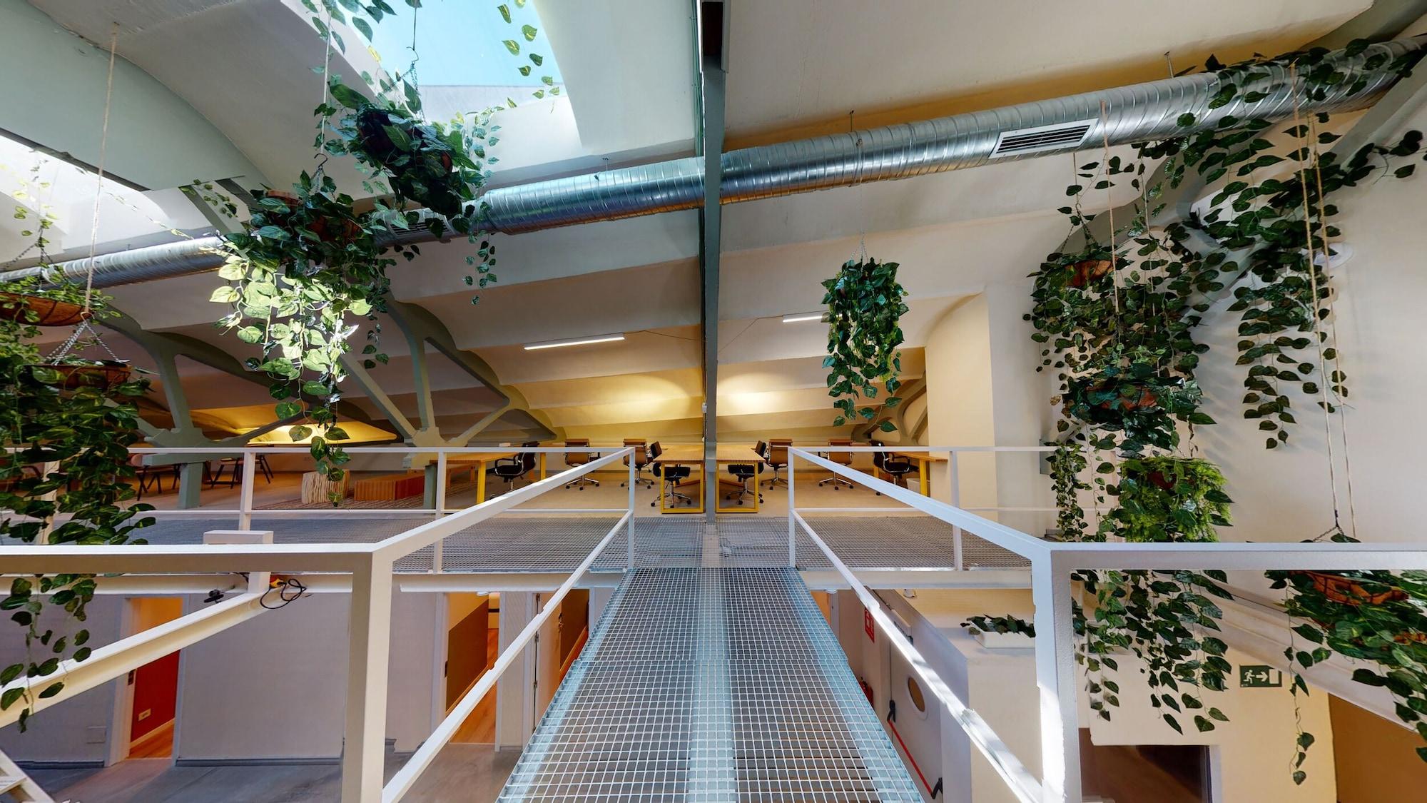 Instalaciones Recreativas Ola Living Hostal Tetuan