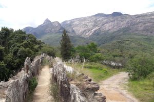 Actividad - Ruta del diamante de Royal Road sobre rieles