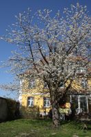 Alojamiento - Art-be-and-b Bed and Breakfast