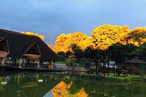 Alojamiento - T3C GARDENS