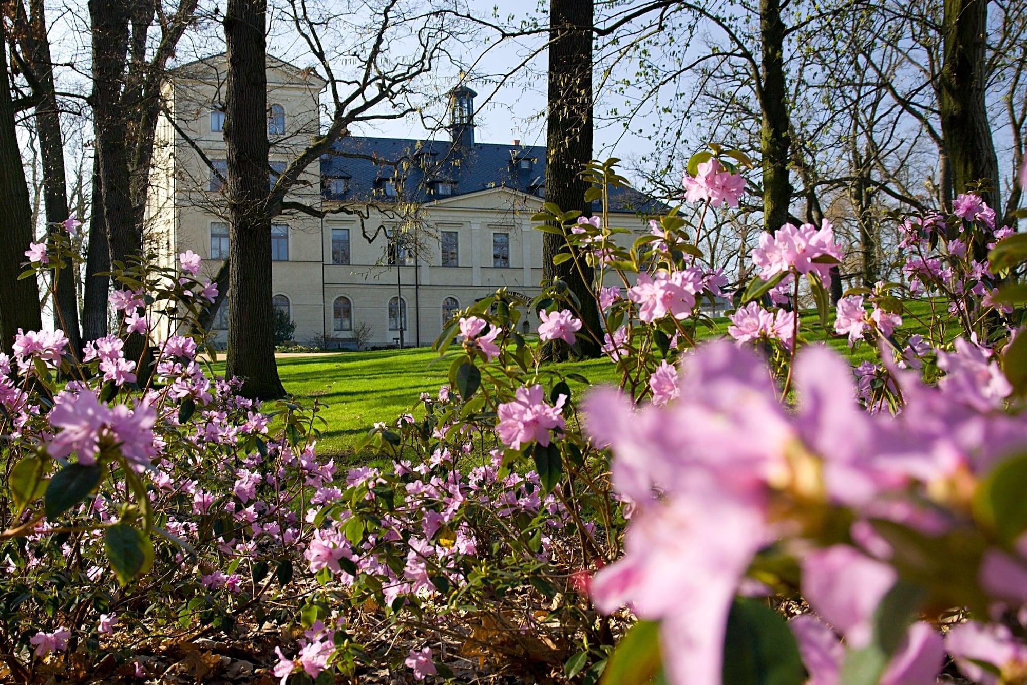 Vista Exterior Chateau Mcely