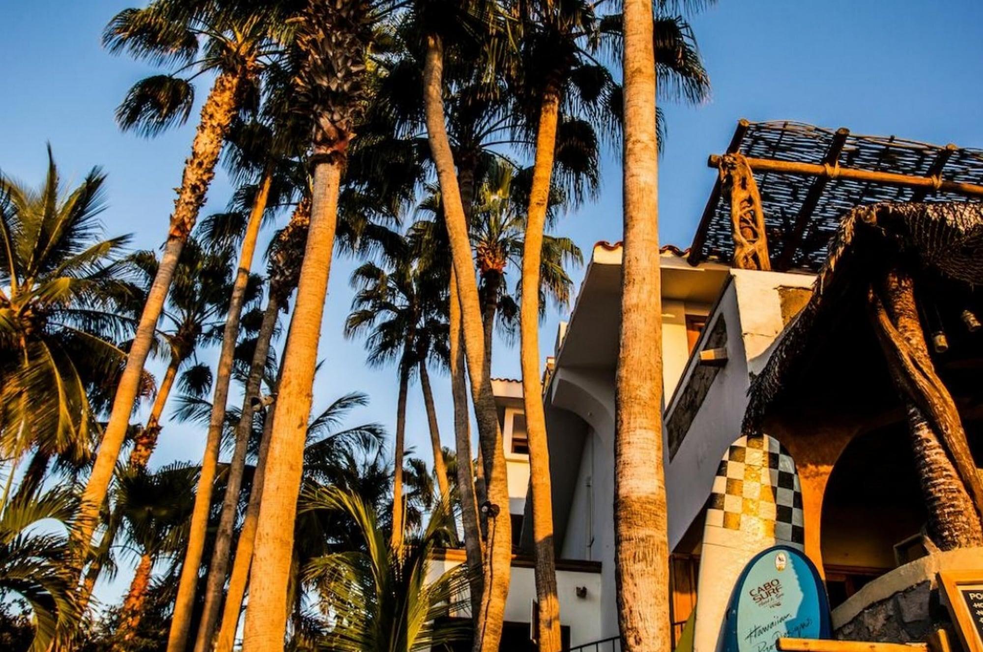 Vista Exterior Cabo Surf Hotel & Spa