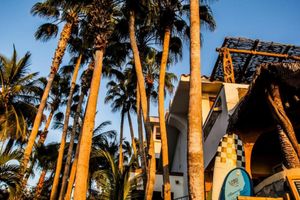 Alojamiento - Cabo Surf Hotel & Spa
