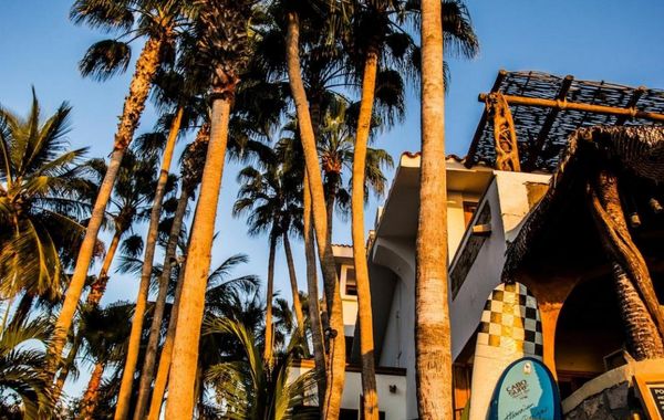 Cabo Surf Hotel & Spa