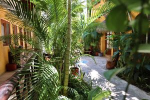 Alojamiento - Hotel Bosque Caribe , 5th Av Zone