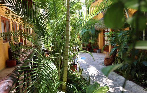 Hotel Bosque Caribe , 5th Av Zone - Hoteles en Playa del Carmen, México: todo incluido, baratos y ofertas
