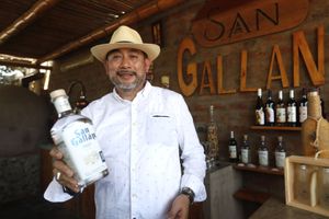 Actividad - Tour Degustación de Pisco y Vino - Emprendendo la Ruta del Pisco