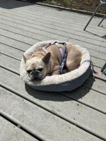 Alquiler Vacacional - Charming Restaurant/Venue in amazing Boothbay Harbor on the water!