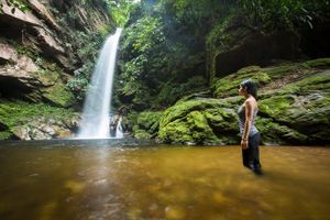 Actividad - Emociones en la jungla: Experiencia ecológica en la cascada de Huacamaillo