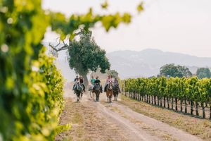 Alojamiento - Fess Parker Wine Country Inn