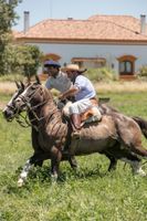 Alojamiento - Estancia El Colibri