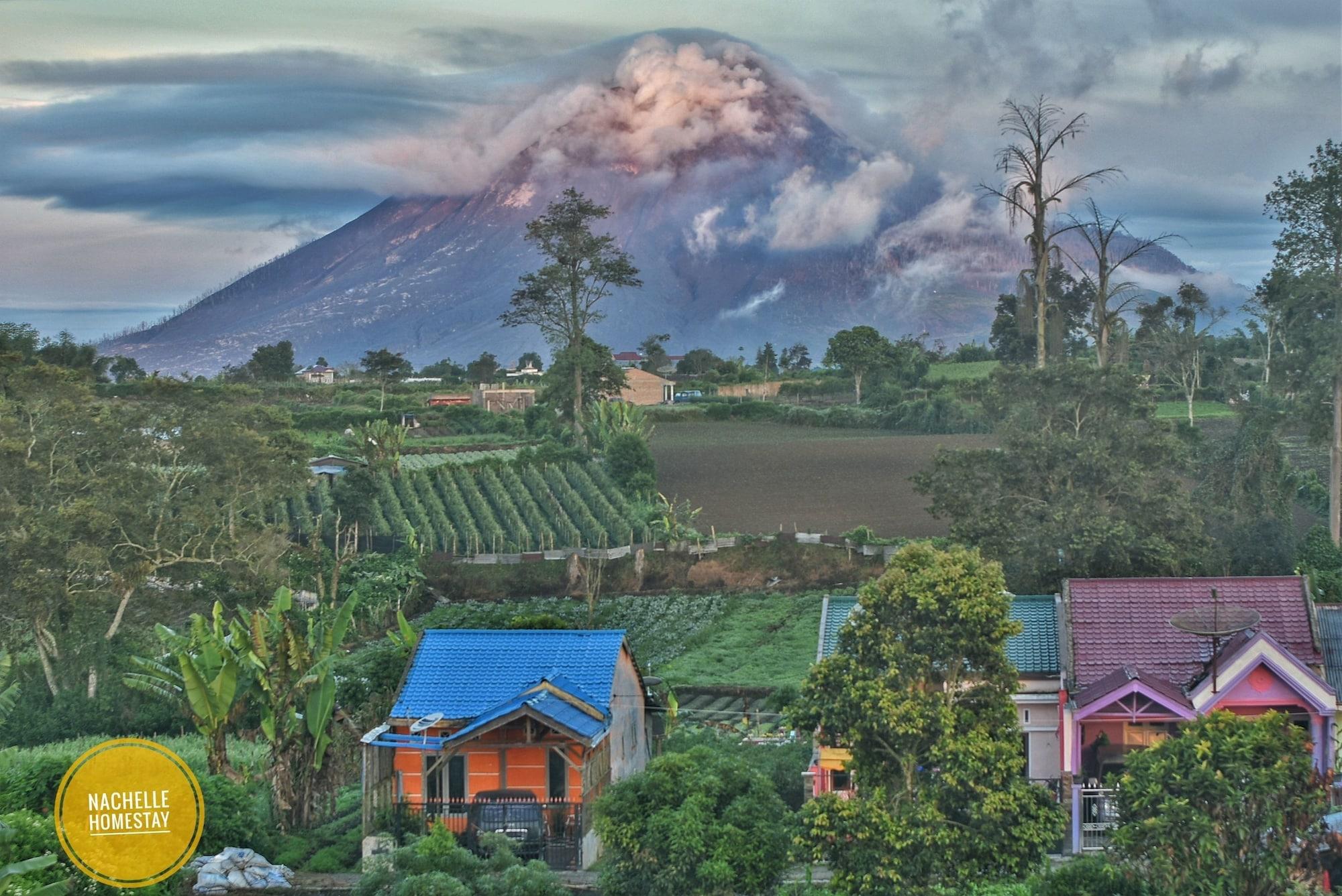 Varios Berastagi Nachelle Homestay