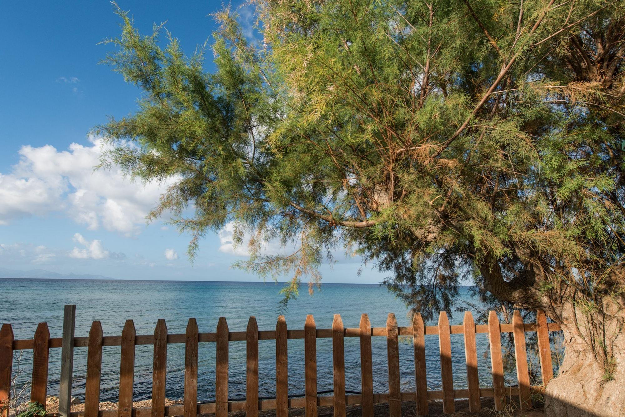 Playa Calypso Studios