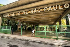 Passeio - Zoológico de São Paulo - 4h