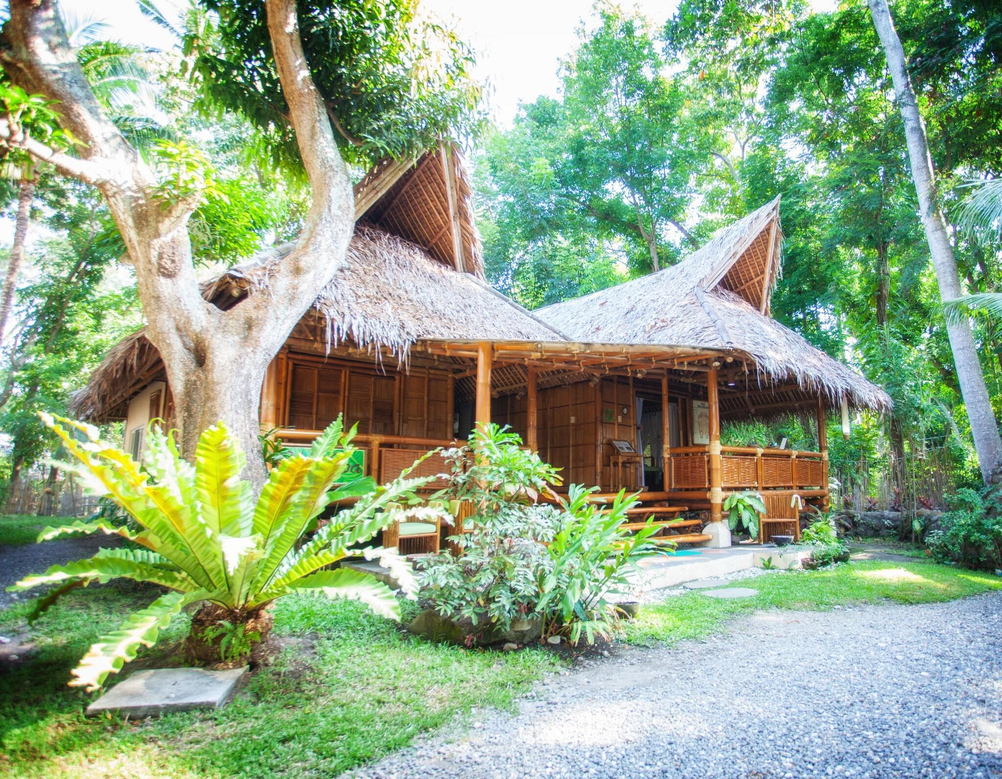 Vista Exterior Pura Vida Beach and Dive Resort