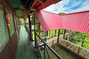 Paquete - Aventour Amazon Lodge