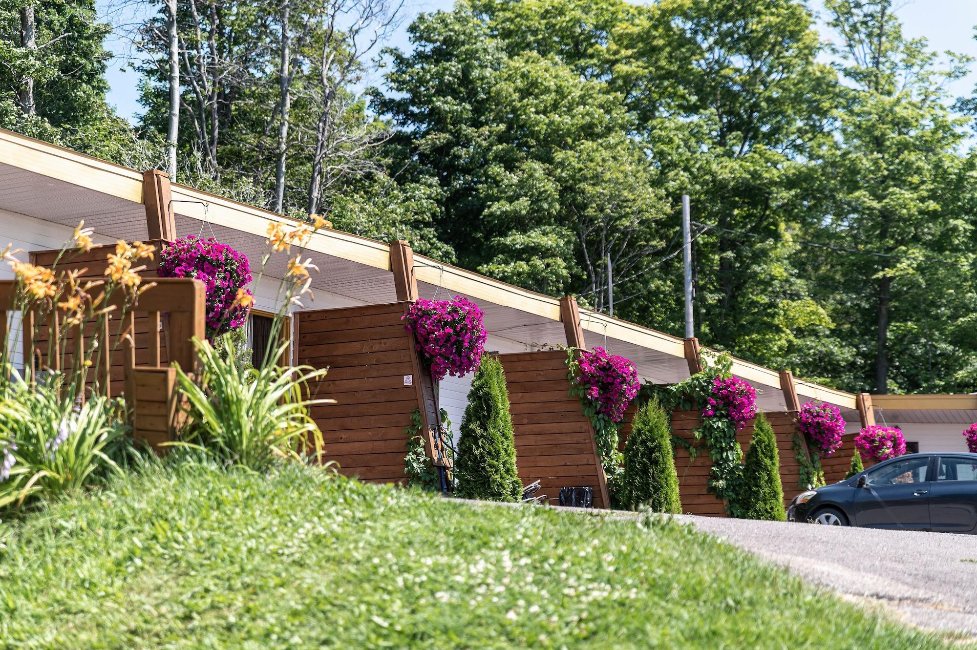 Equipamiento de Habitación Motel Île d'Orléans