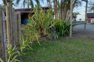 Alojamiento - Hostel Canto Caiçara