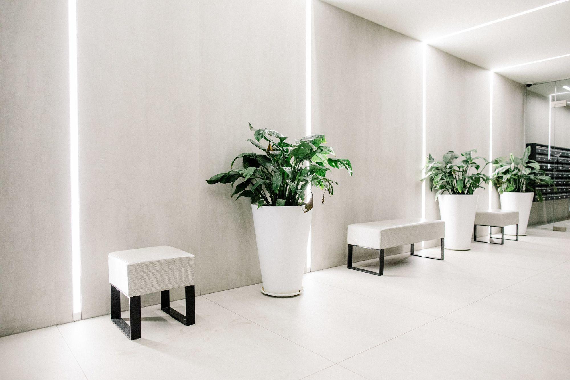 Vista Lobby OMI Homes on Collins