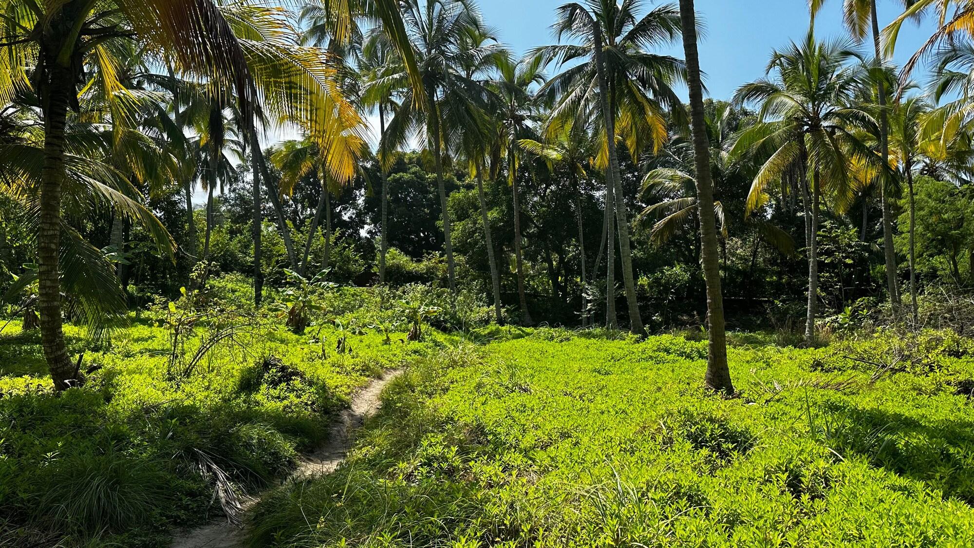 Vista Exterior Casa Xué - Alma Lodge