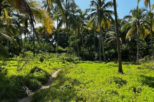 Alojamiento - Casa Xué - Alma Lodge
