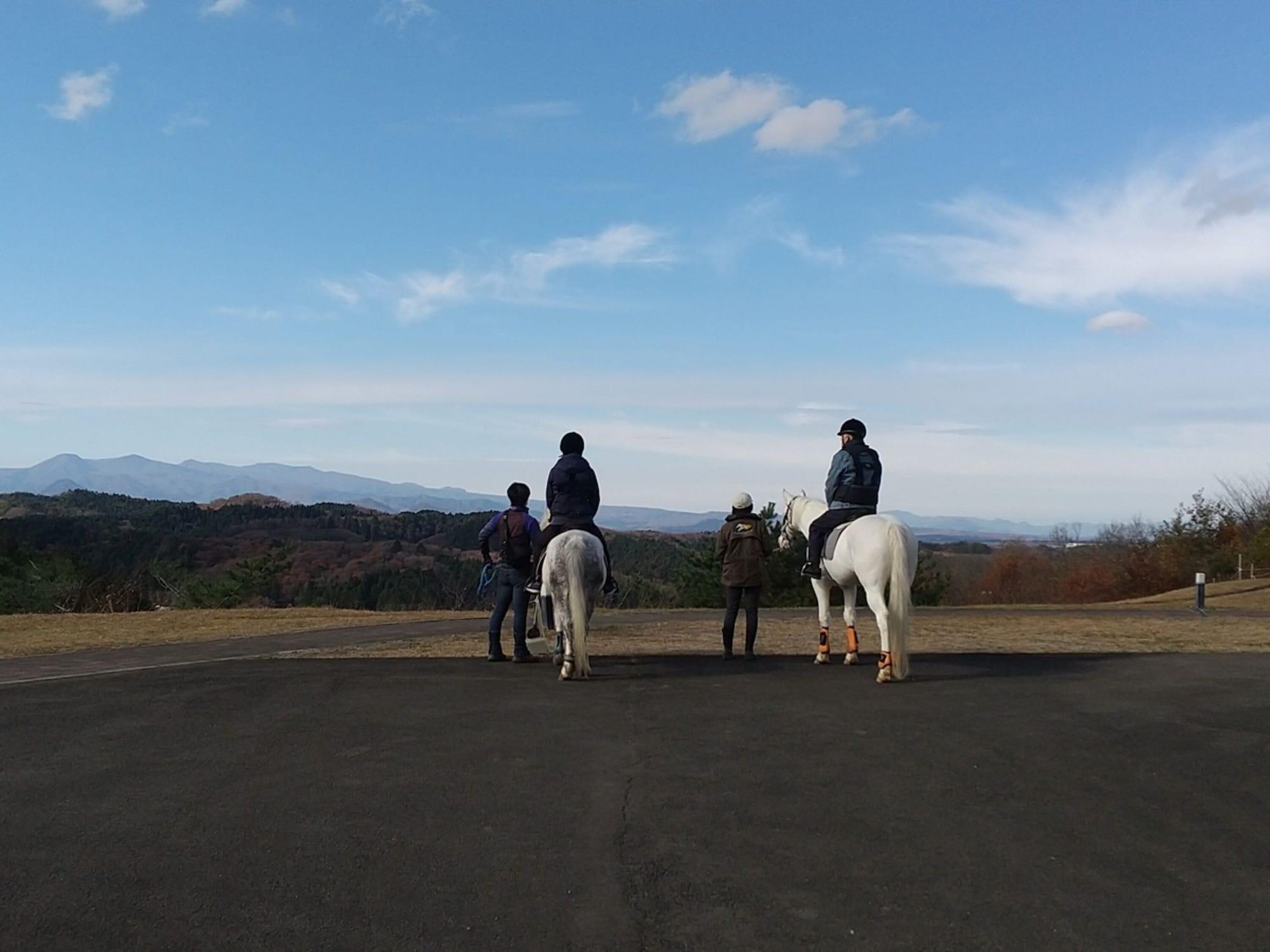 Instalaciones Recreativas PASTORAL ENISHINOSATO