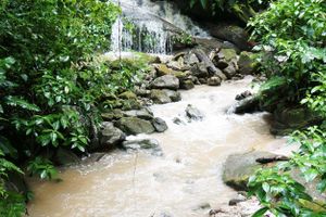 Actividad - Excursión a la Catarata de Ahuashiyacu