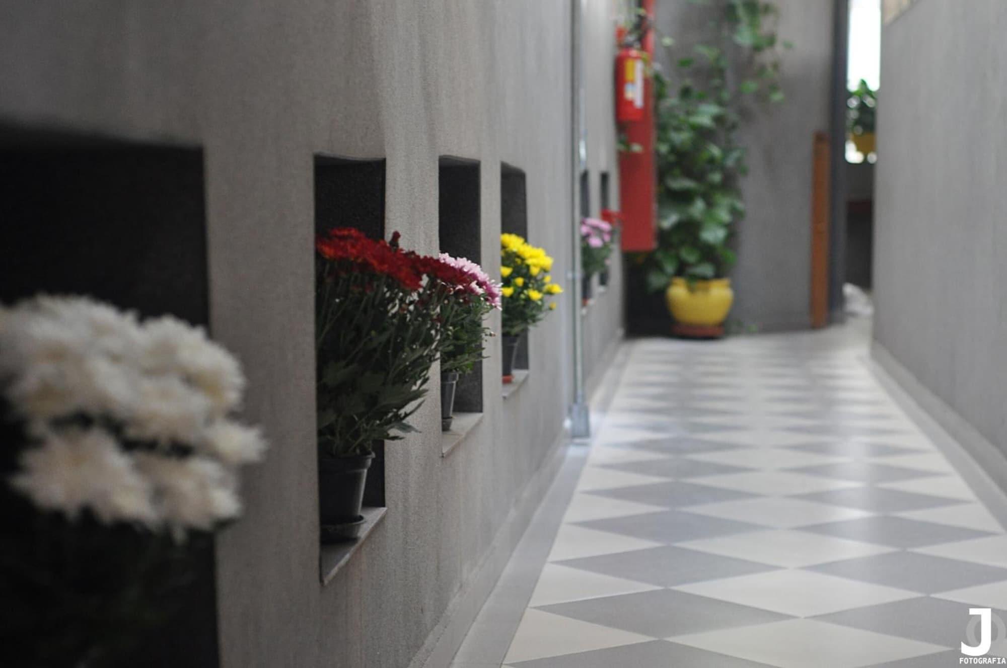 Comodidades del Alojamiento Missouri Hotel