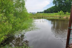 Alquiler Vacacional - Beautiful Countryside Escape!