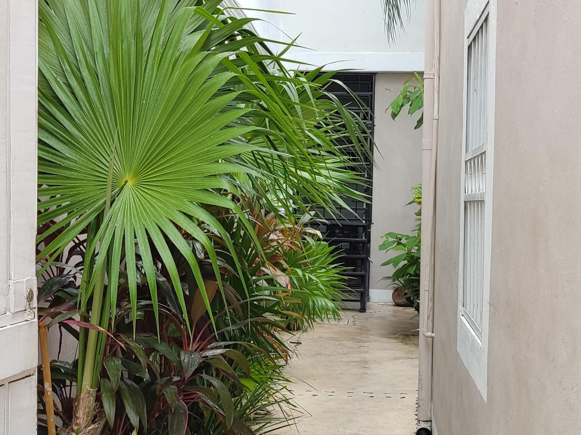 Vista Exterior Kika Studios