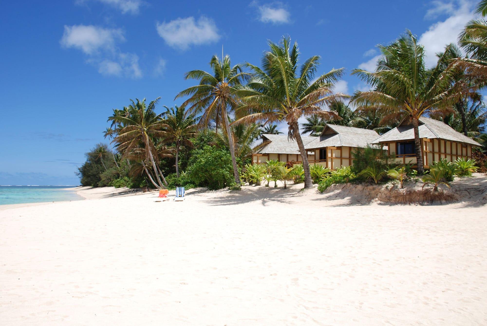 Playa Palm Grove