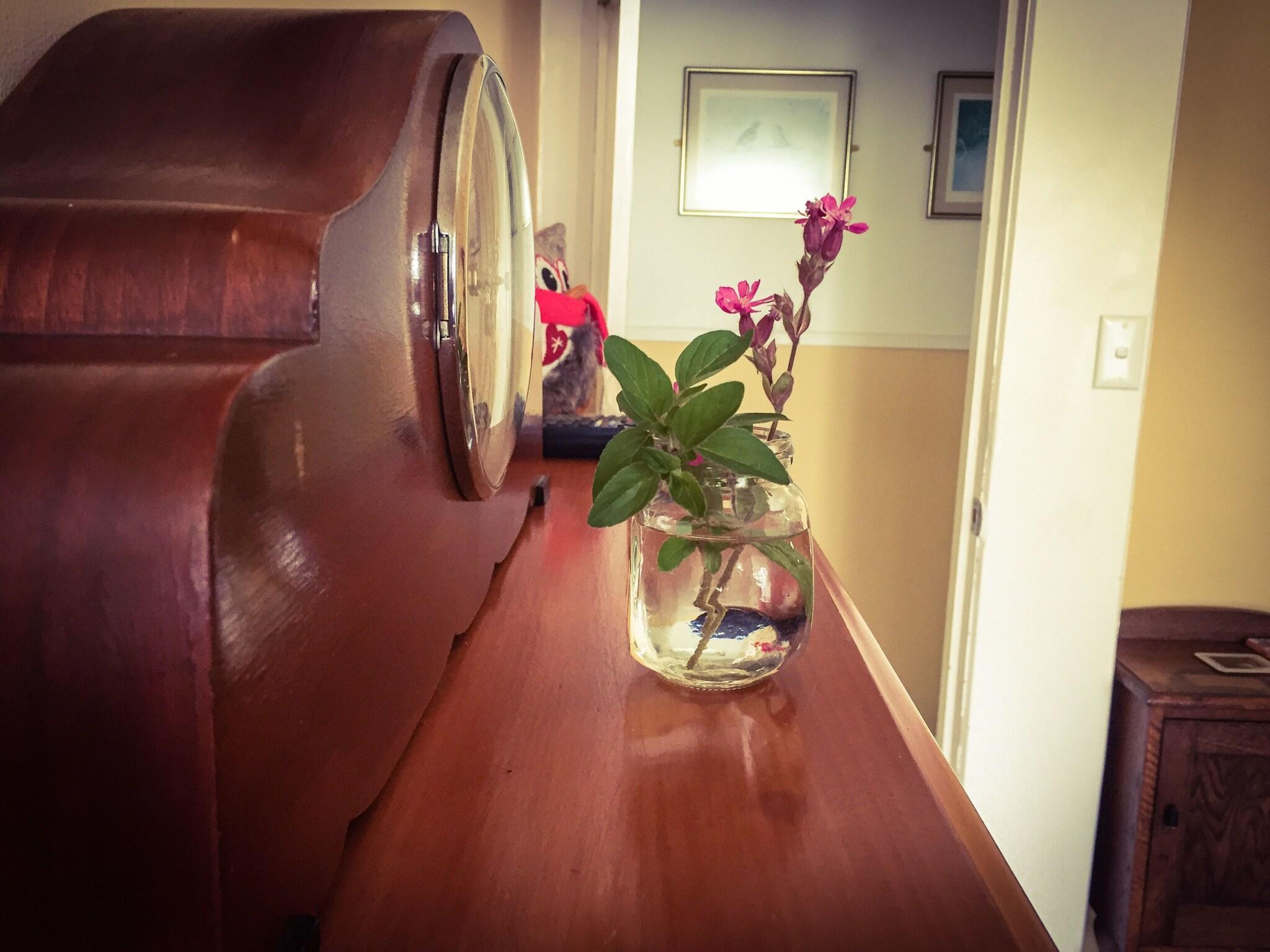 Vista Lobby Tongariro Crossing Lodge