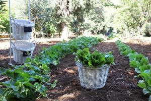 Alojamiento - Maison d'Enrì