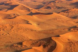 Actividad - Tour por el desierto del Namib